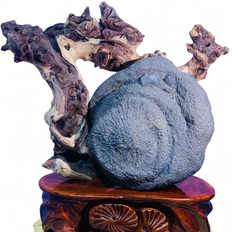 精品原石、居家摆件、一物一拍