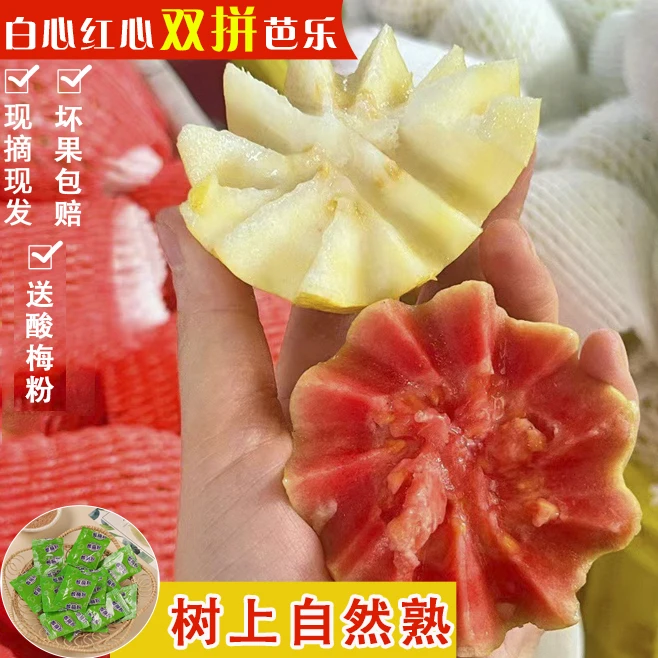 红心白心软芭乐混合装3-5斤胭脂红珍珠芭乐果软糯香甜番石榴新鲜
