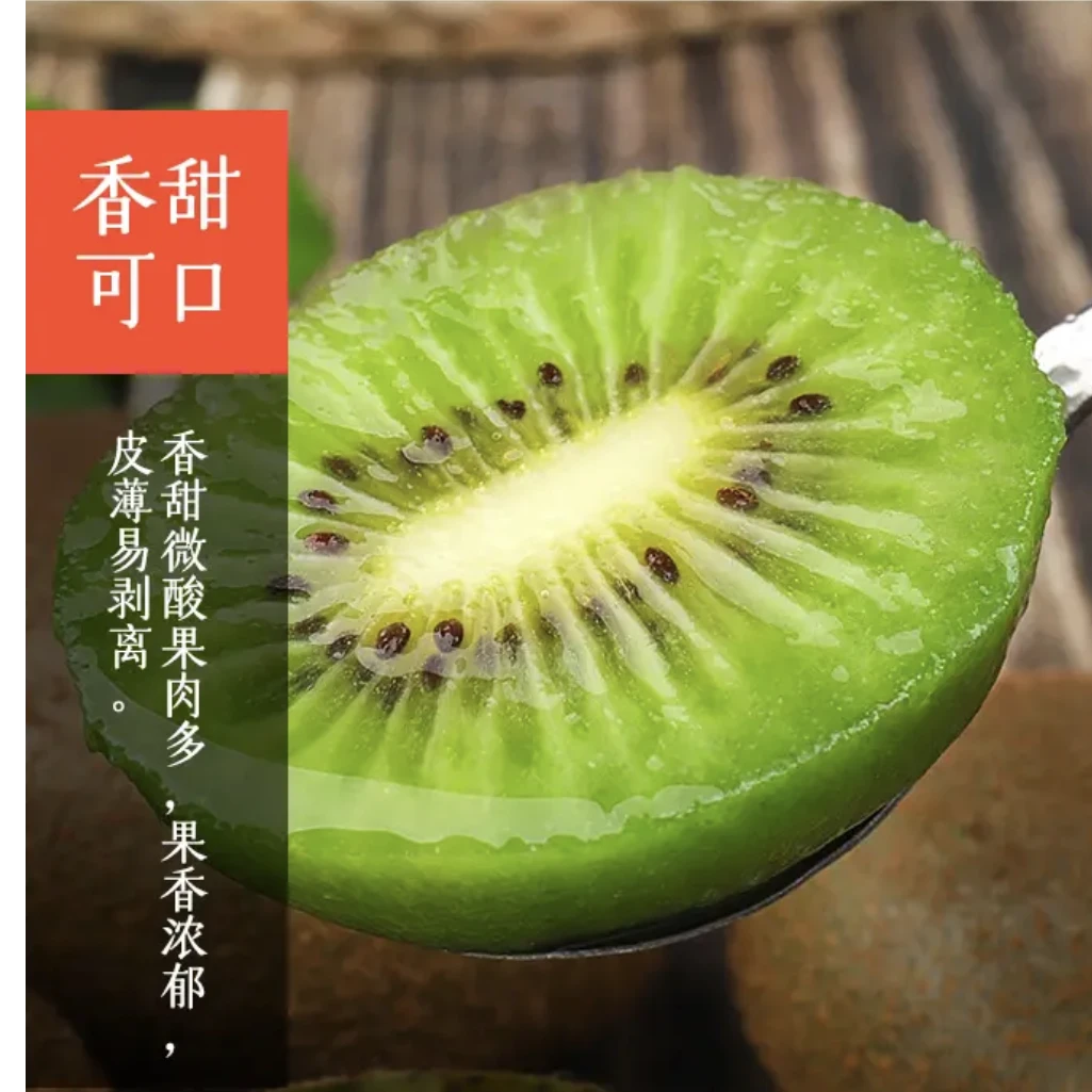 【5斤装】印江县刀坝共和翠玉猕猴桃