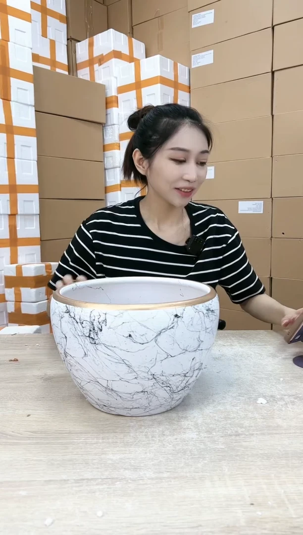 【闪购商品】陶瓷20CM以下苹果白飞丝大号26x19