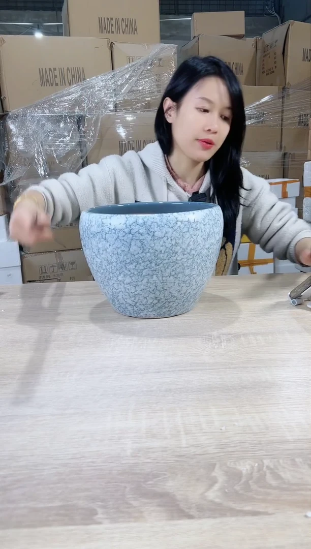 【闪购商品】陶瓷20cm(含)-50cm(含)苹果裂纹雪花大号25X20