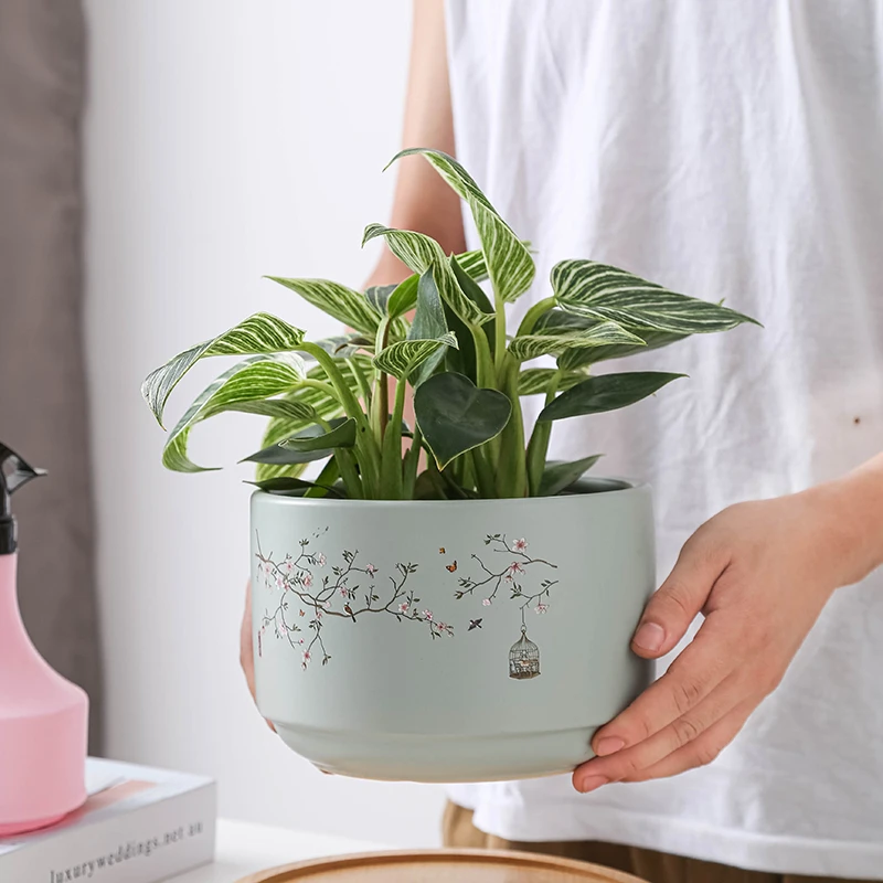 高端精美陶瓷花盆蝴蝶兰鸟笼淡蓝色君子兰盆绿萝（不含礼盒）