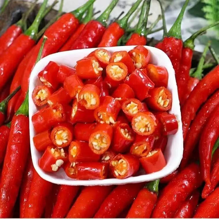 新鲜现摘红辣椒，红色二荆条辣椒1-3-5斤，产地直发