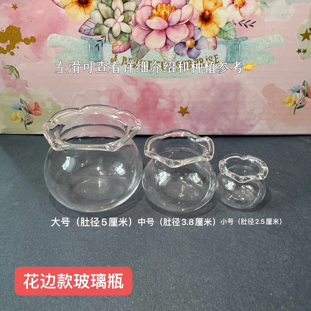 【花边瓶综合链接】大中小号加厚花边款鱼缸玻璃瓶多肉控养迷你盆
