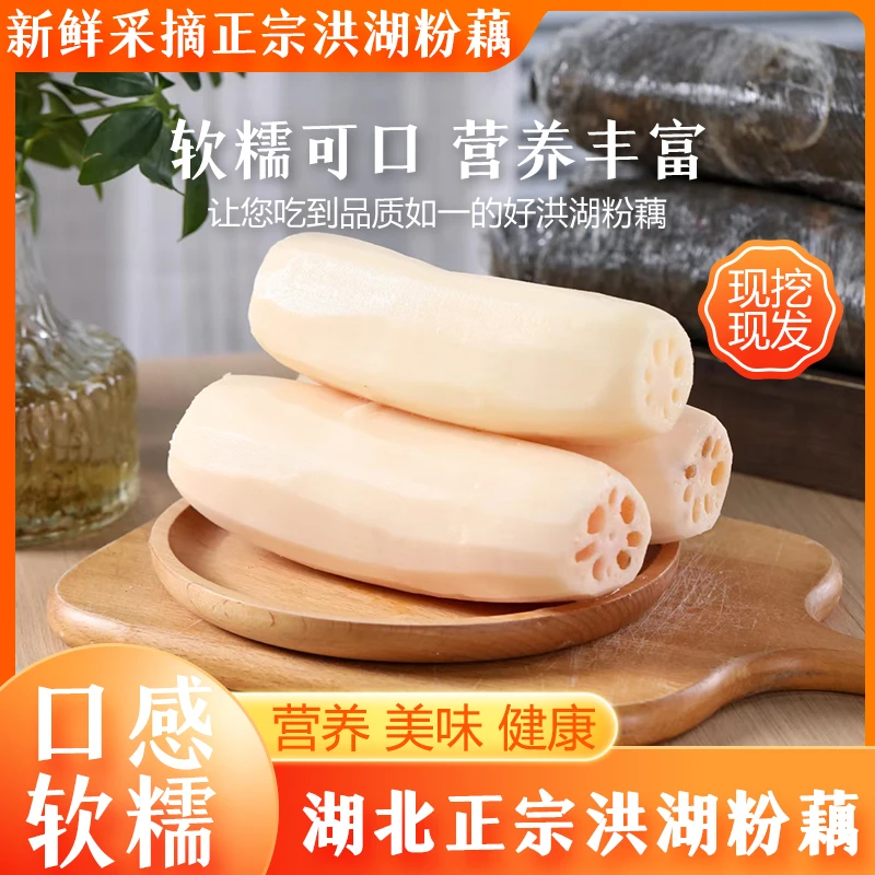 湖北洪湖粉藕生鲜农家蔬菜煲汤粉藕新鲜软糯香甜现挖现卖包邮