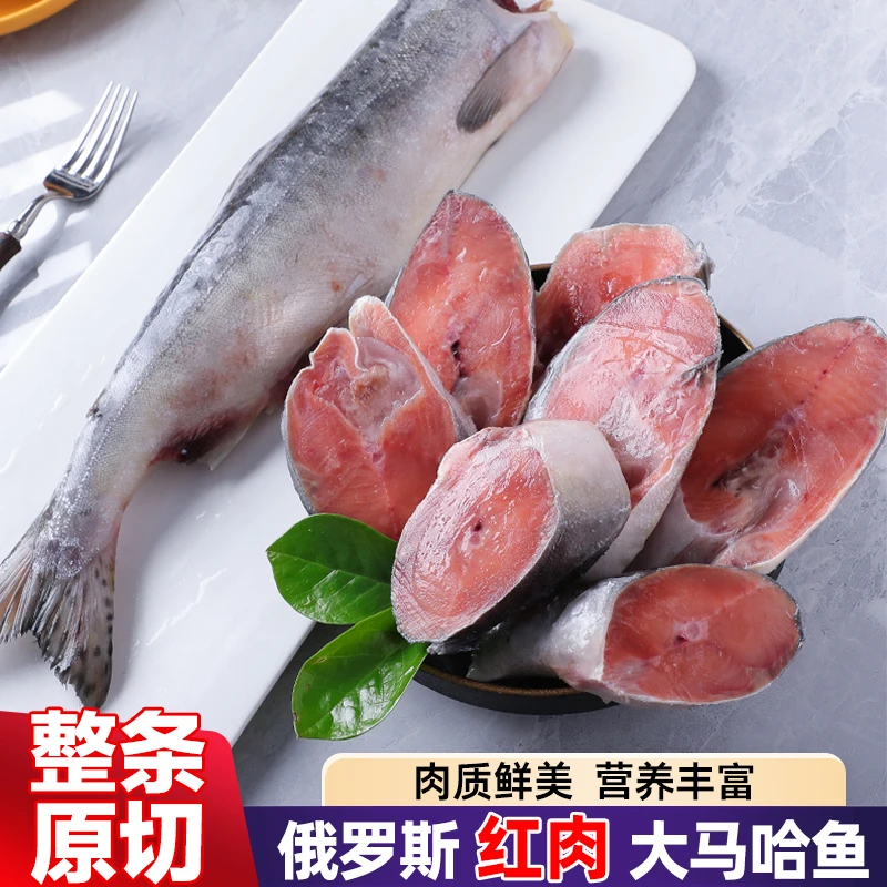 2024年俄罗斯进口大马哈鱼整条原切鲜冻三文鱼鲑鱼肉多刺少鲜美