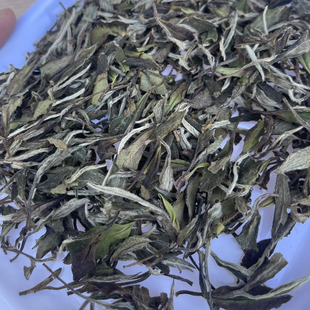渐荒 2021年二级牡丹 高山白茶