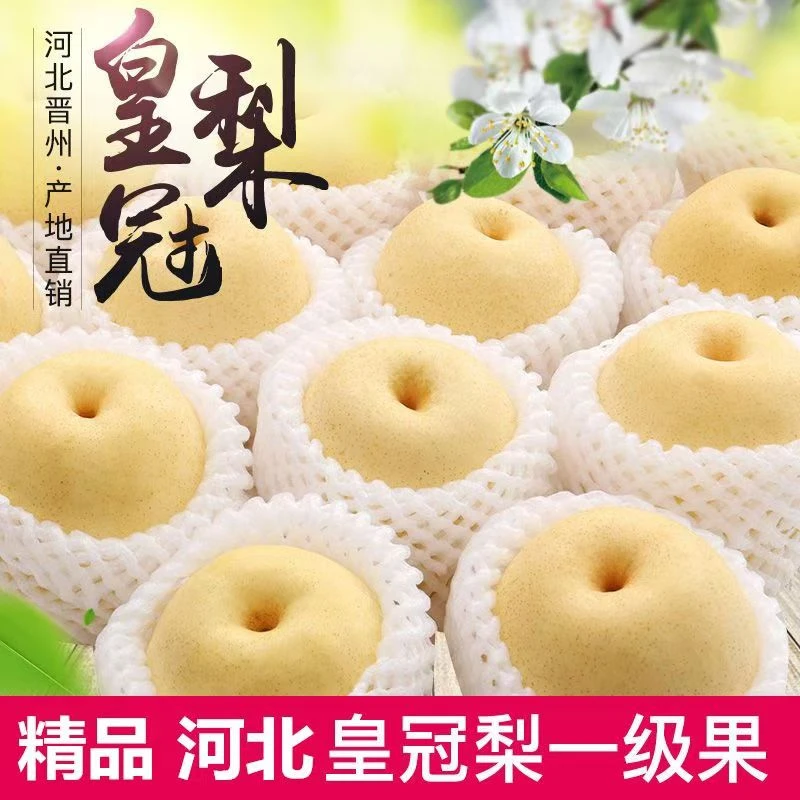 河北皇冠梨新鲜水晶梨子当季整箱香酥梨玉露香梨整箱10斤5斤包邮