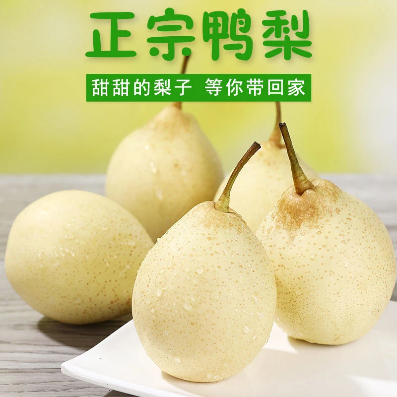 2025河北鸭梨新鲜应季水果薄皮脆甜多汁鸭梨香梨整箱包邮