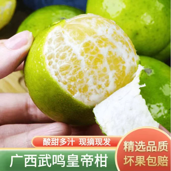【佰汾佰禾】广西皇帝柑4.5-5斤装 当季时令橘桔子贡柑新鲜水果