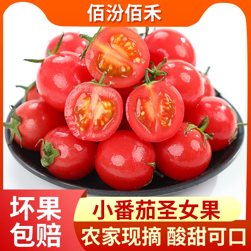 产地上涨【四盒】广西圣女果4.5-5斤小番茄 自然熟收到直接吃 XSH