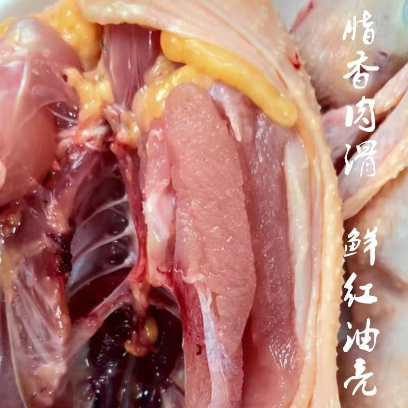 呱呱鸡生鲜顺丰发货
