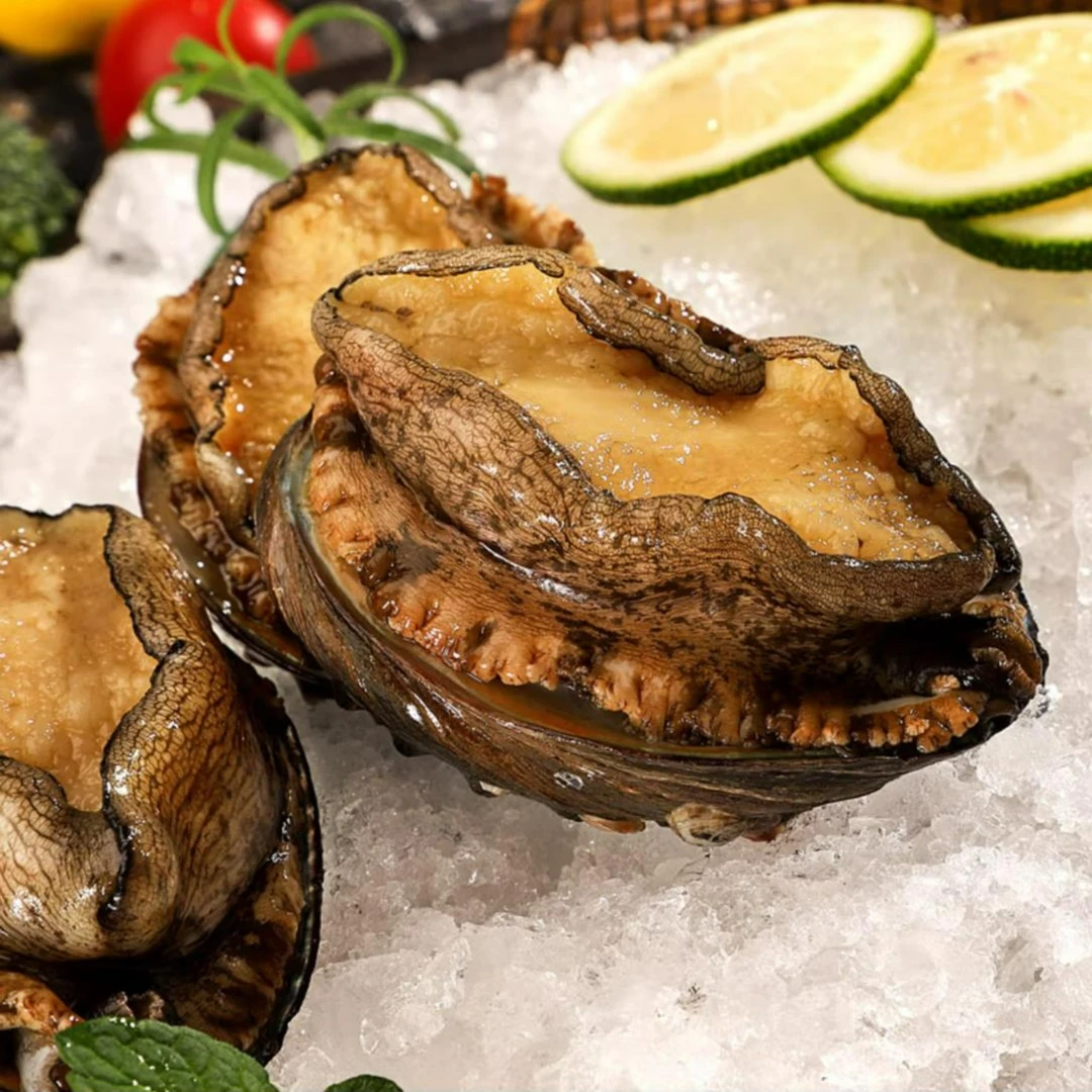 八头鲍鱼 8只/斤（2斤装）  福建东山岛 黄金鲍原产地