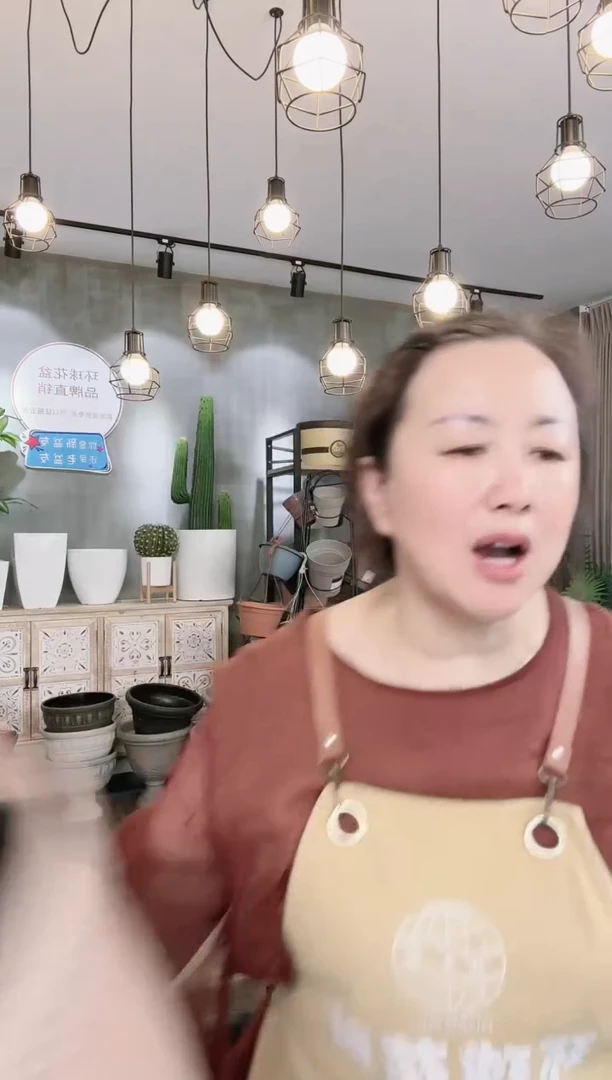 【闪购商品】塑料20CM（含）-50CM（不含）14寸麻绳盆2只