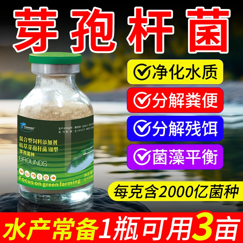 高浓缩芽孢杆菌净水优质稳定渔场水产养殖可用培育无毒混合型