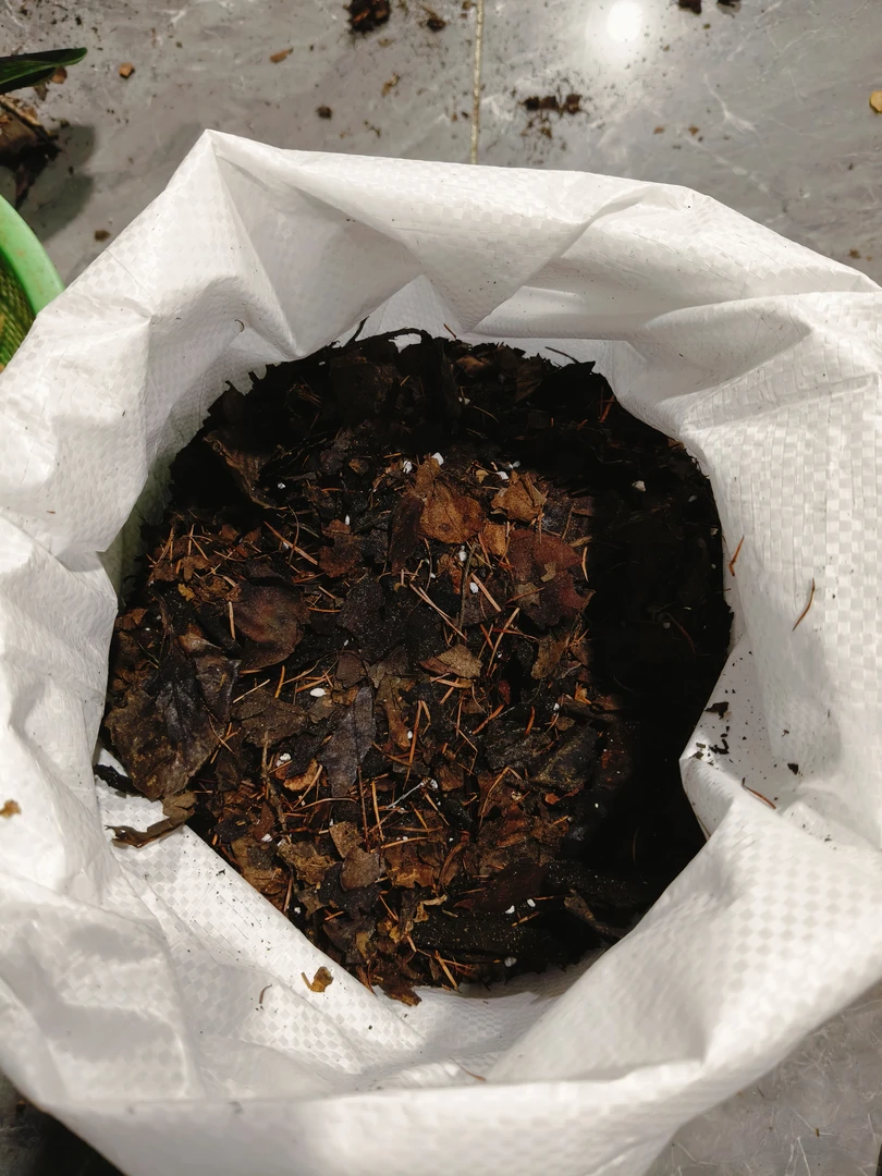 优选腐叶土5斤半左右