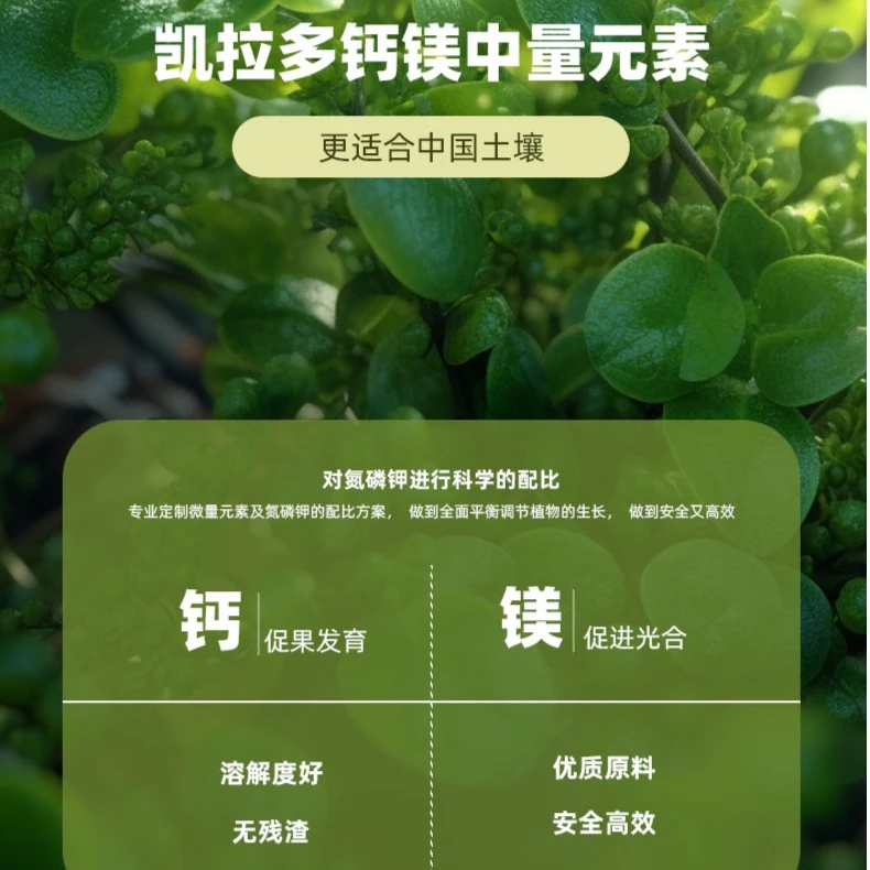 中量元素钙镁肥苗期底肥都可使用