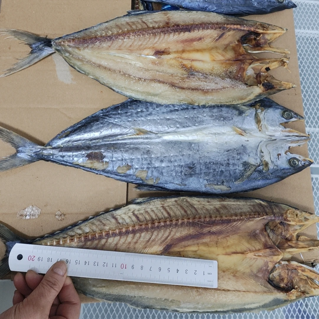 渤海湾传统晾晒鲅鱼干