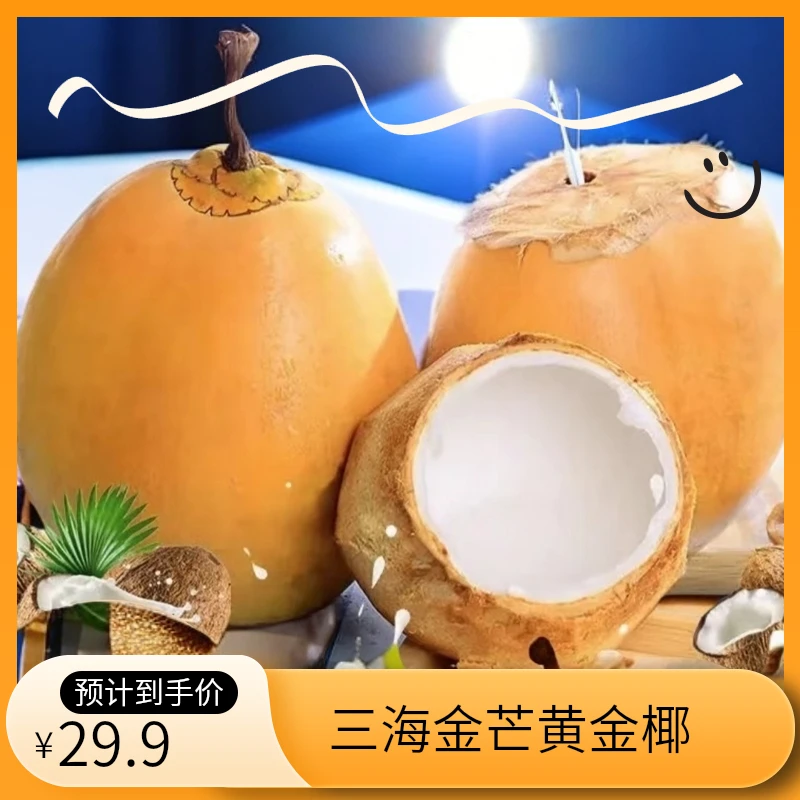 三海金芒【海南原产黄金椰子】热带水果清甜多汁椰肉清甜营养好喝