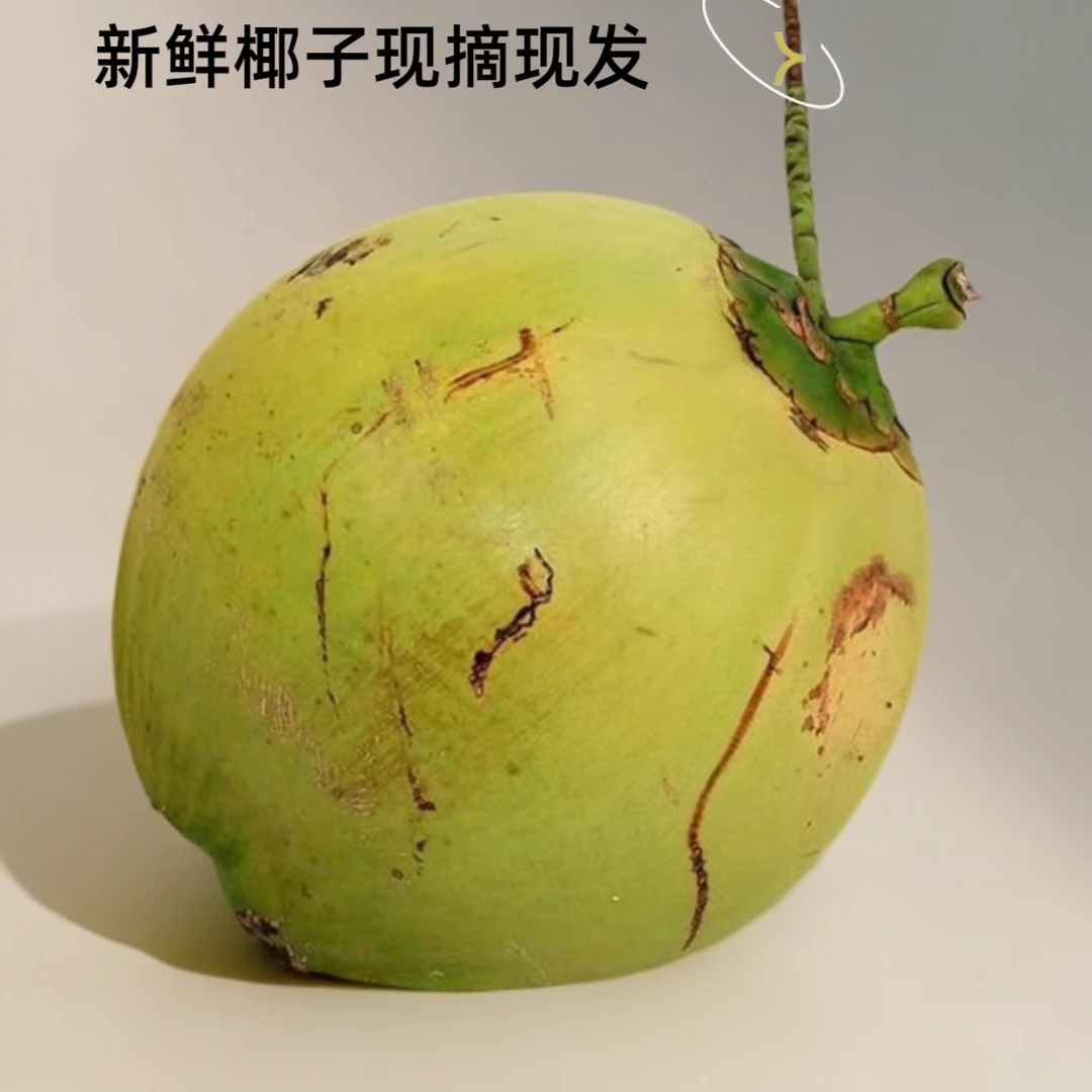 罗蓬果姐专属【大青椰子】当季新鲜采摘带皮原生态美味果肉健康