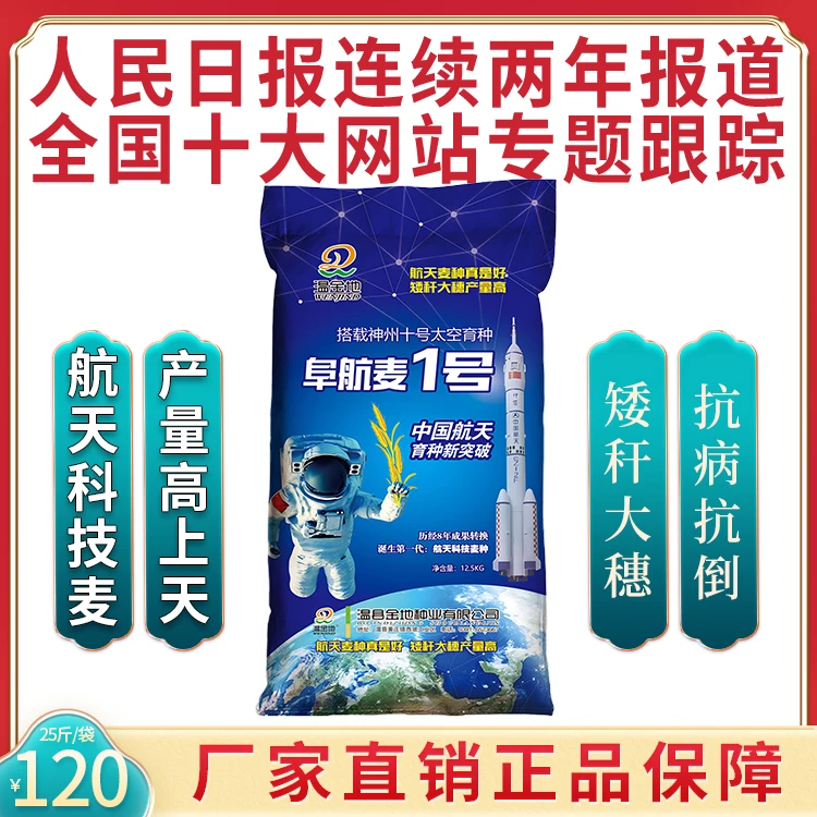 【爆款】阜航麦1号-高产抗倒小麦种-抗旱抗冻抗病籽粒饱满-小麦种子