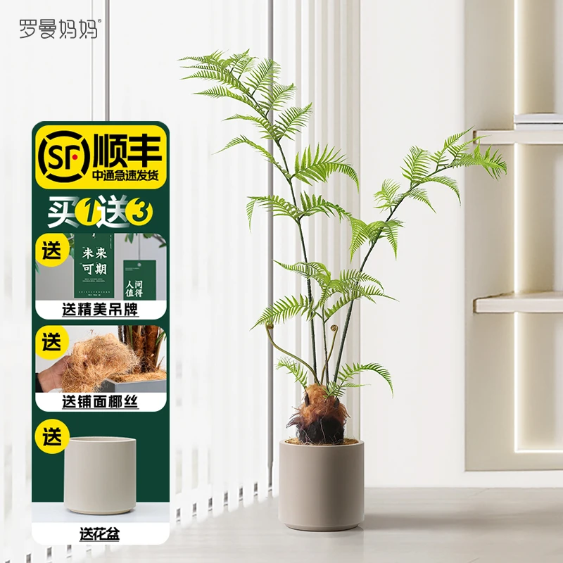 罗曼妈妈北欧风仿真植物金丝猴阙网红绿植猴头蕨盆栽假树室内摆件
