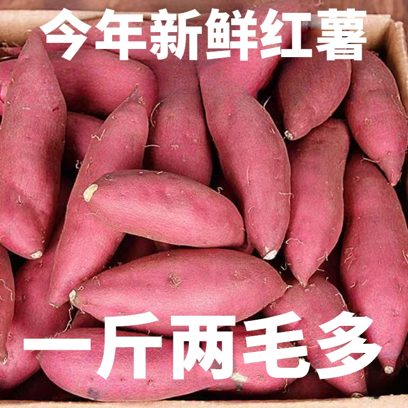 【新店半价】超甜沙地红薯1/5/10斤装地瓜板栗薯新鲜沙地红蜜薯甜