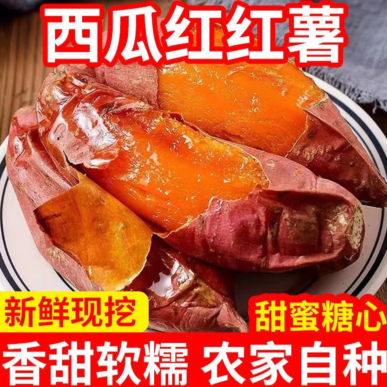 【新店半价】超甜沙地红薯1/5/10斤/9斤红心蜜薯红薯新鲜番薯超甜