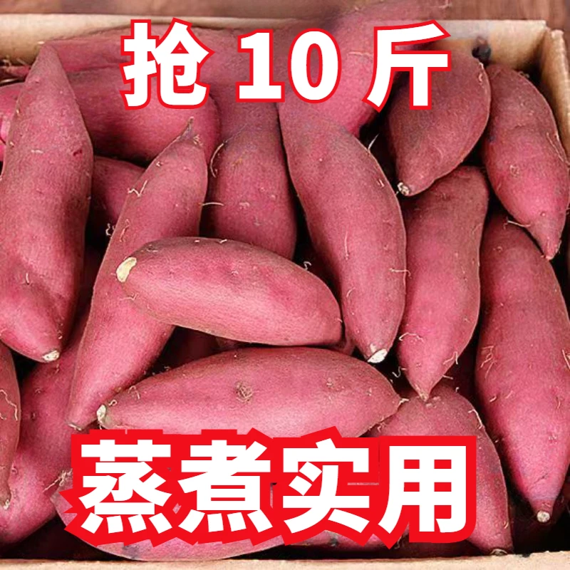 【新店半价】超甜沙地红薯1/5/10斤装地瓜板栗薯地瓜甜薯哈密蜜薯