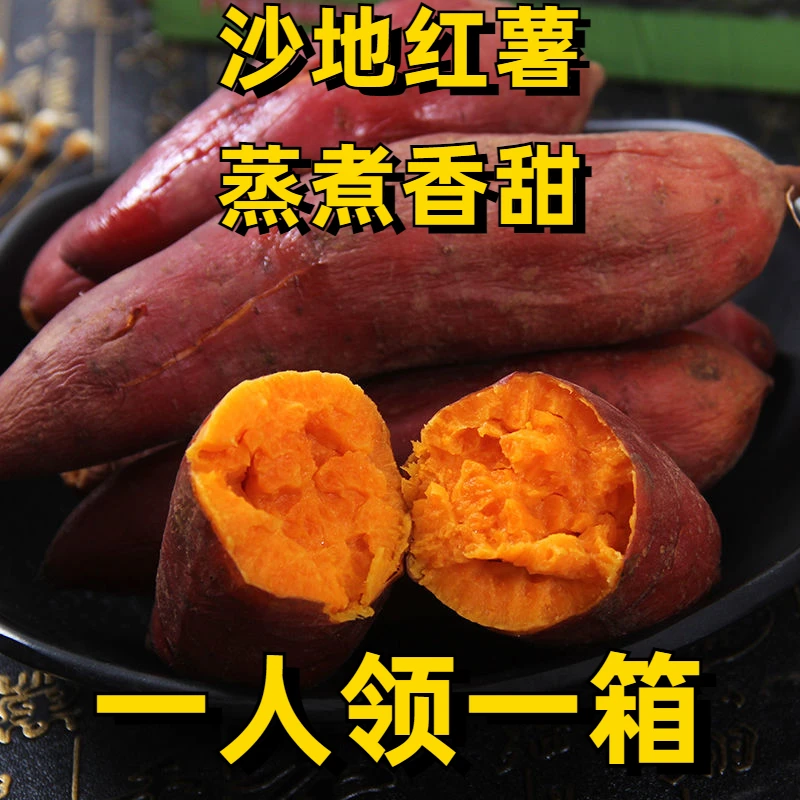 【新店半价】超甜沙地红薯1/5/10斤新鲜产地直发地瓜小番薯产地直