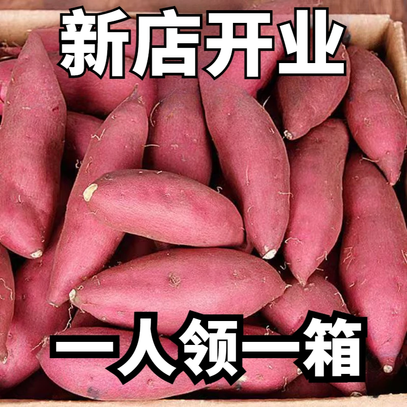 【新店半价】超甜沙地红薯1/5/10斤芋富硒糖心地瓜红心番薯非小蜜