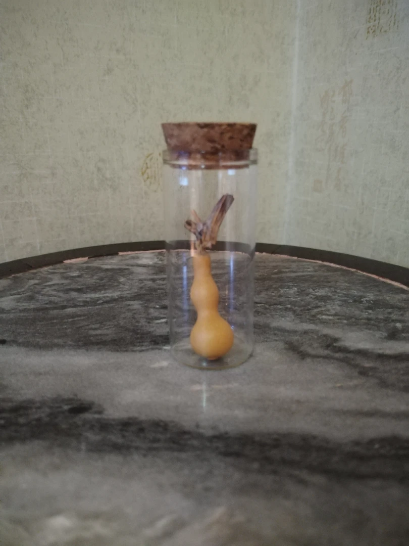 小八宝草里金葫芦