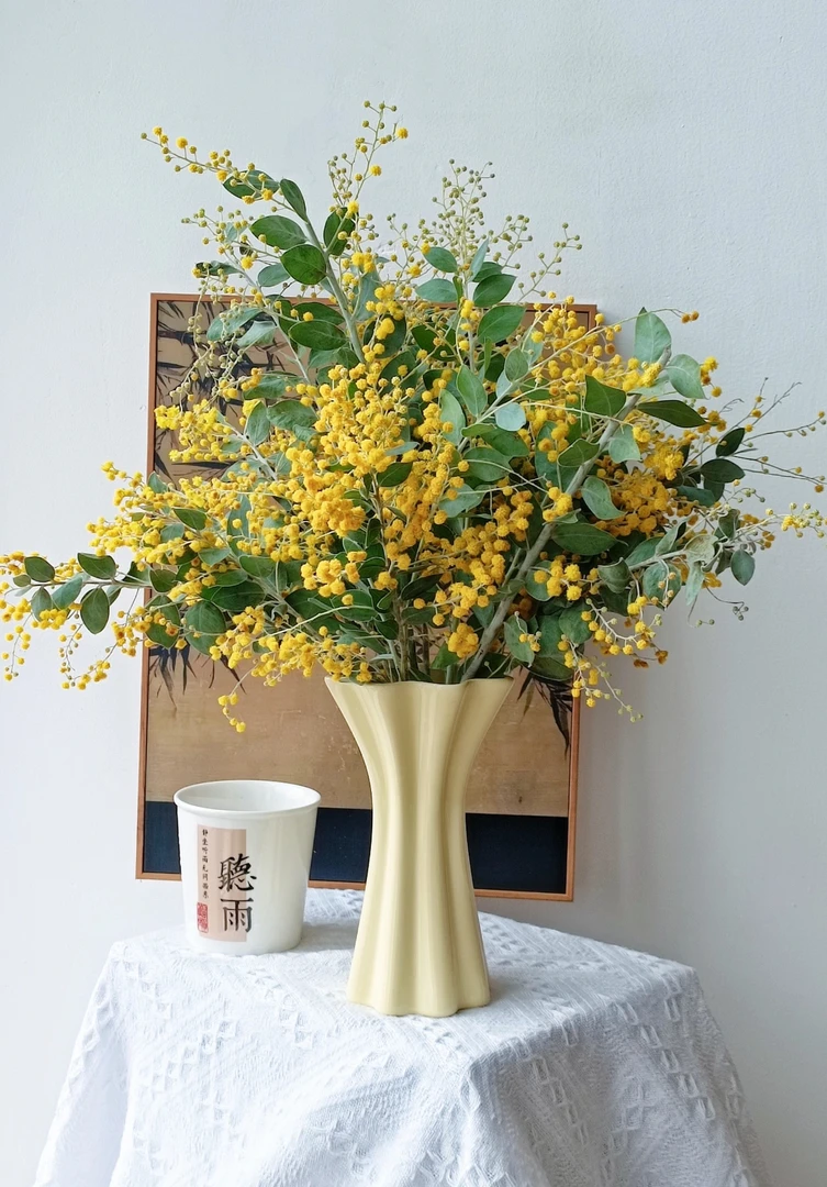 金合欢花5~8支一单顺丰