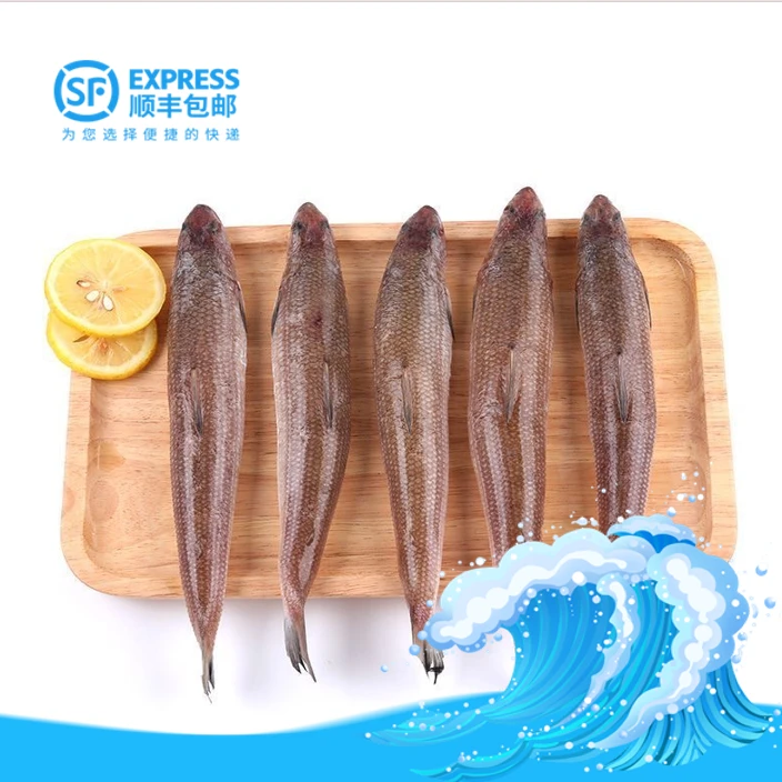 【那哥鱼】神泉本港那哥鱼【5包】就日鲜，广东省顺丰冷链包邮