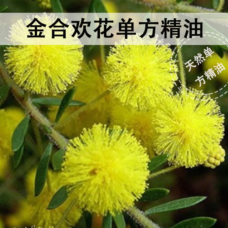 埃及进口合欢花精油（单方）
