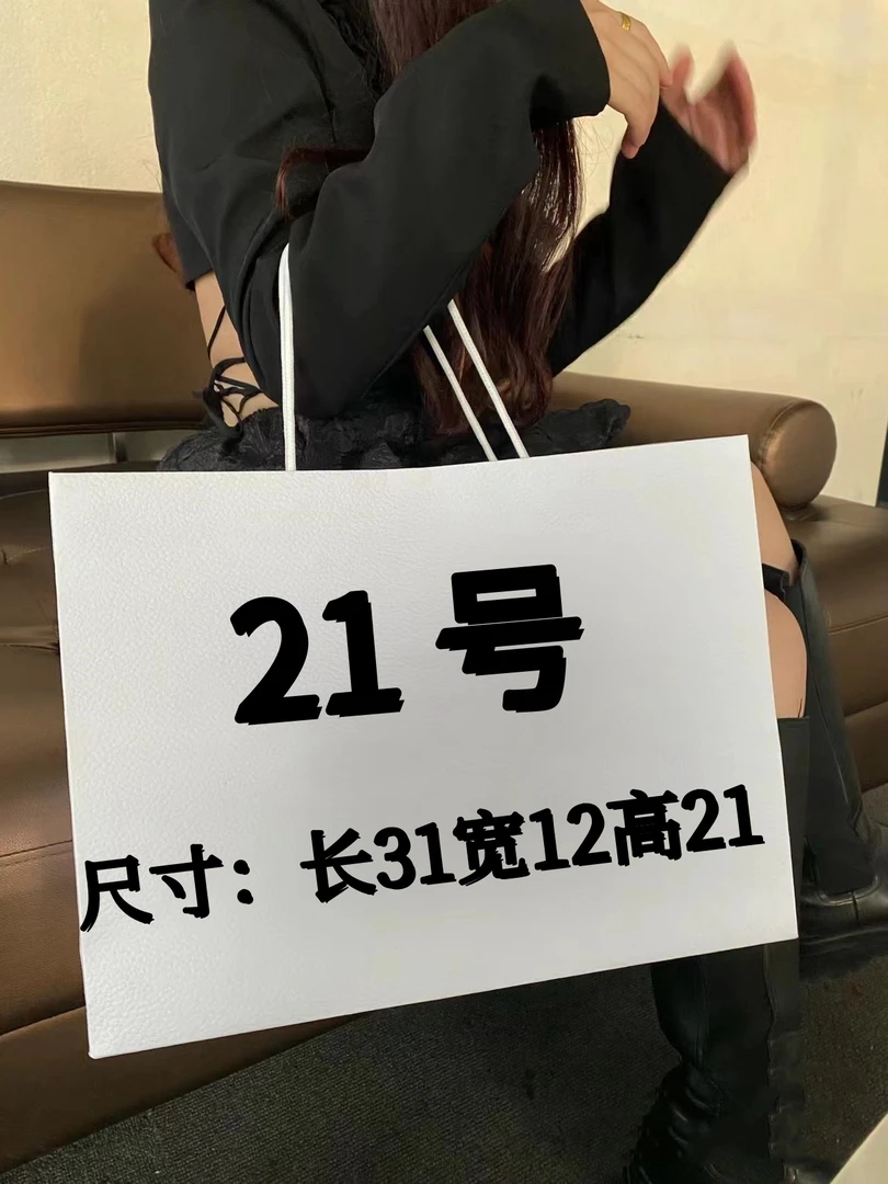 21 号（H）时尚百搭云朵链条大包8008#