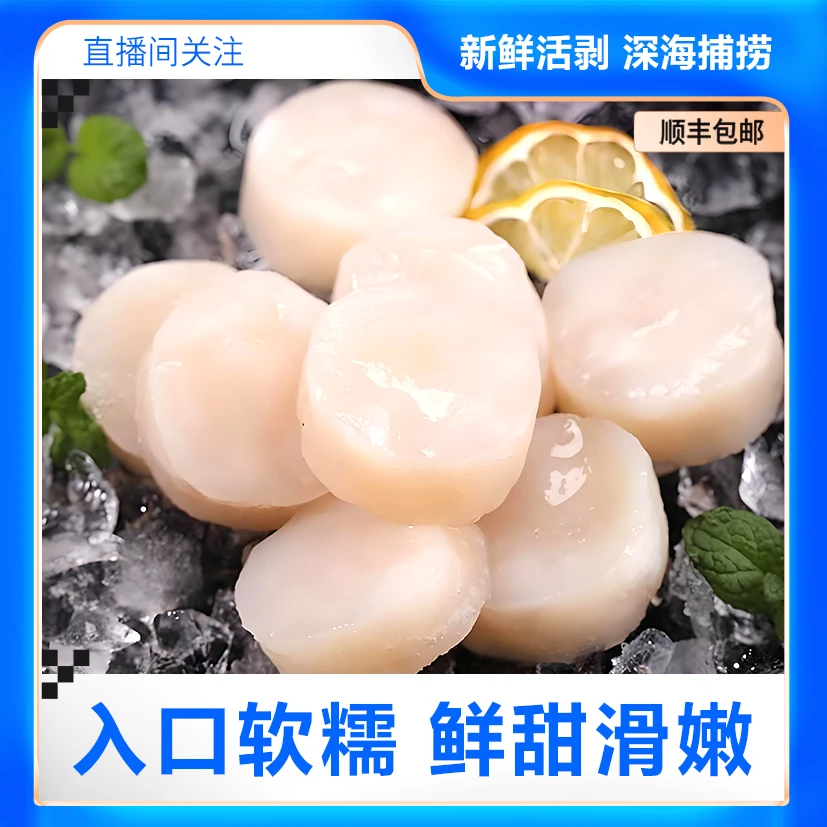 【到手三斤】冷链运输现捕现洗个大肉多江瑶贝柱鲜活速冻锁鲜带子
