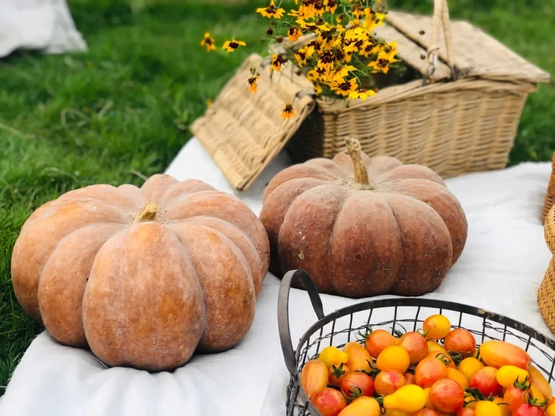 山货特产，以直播为准，现场称重，所见即所得