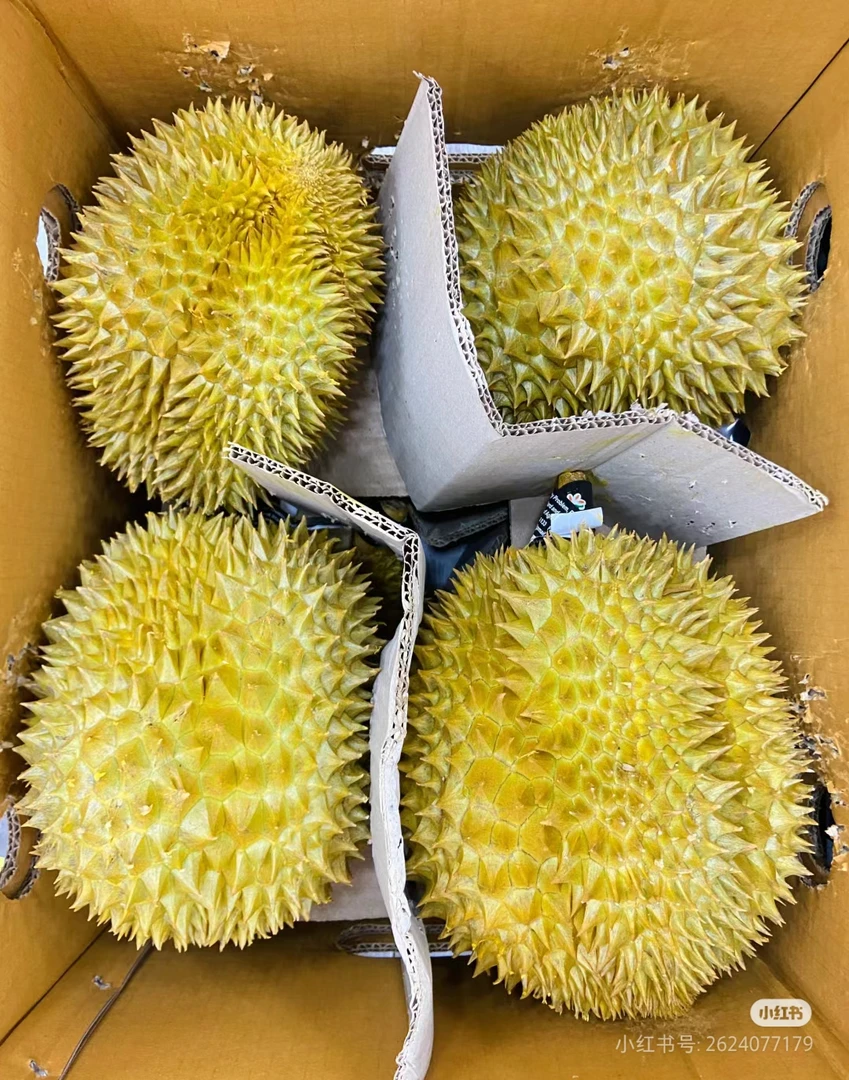 7号金枕榴莲
