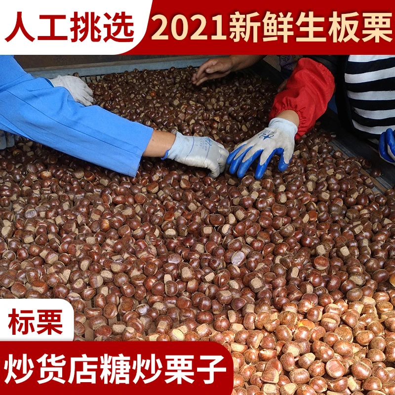 迁西板栗糖炒板栗店爱用物流快24小时收货全年批发新鲜油栗甘正宗