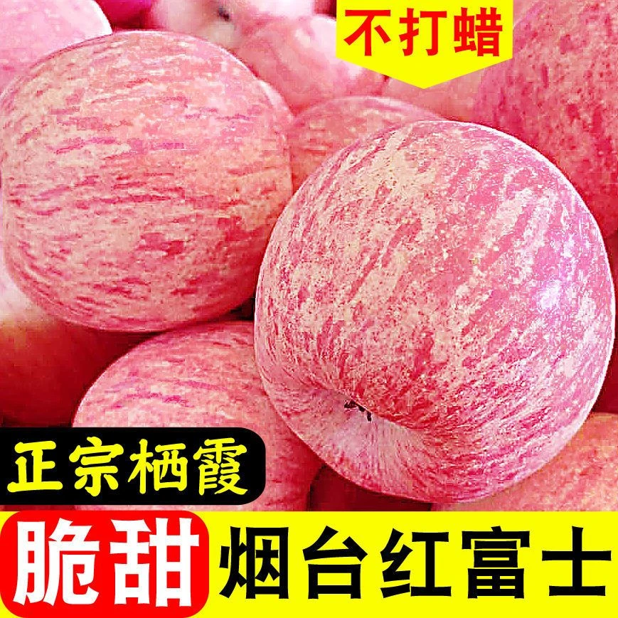山东烟台栖霞正宗红富士奶油苹果脆甜新鲜水果批发整箱3/5/特天然
