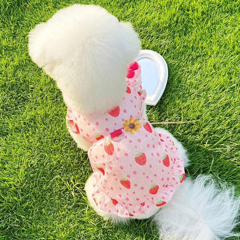 夏装新款ins风网纱透气可牵引宠物狗狗猫咪衣服泰迪比熊贵宾裙子