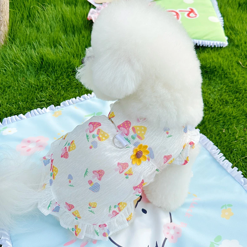 可牵引夏季薄款宠物猫咪狗狗衣服连衣裙泰迪约克夏比熊小型犬防晒