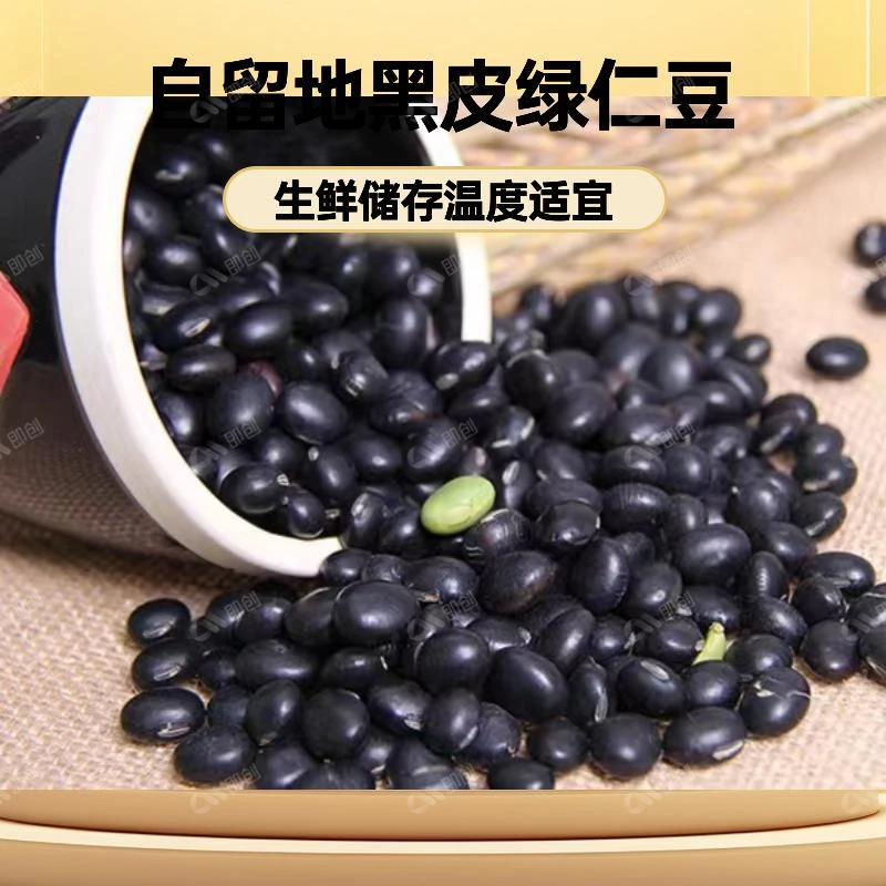 自留地黑皮绿仁豆 (青仁乌)24年新豆 5斤顺丰包邮