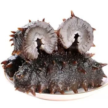 大连大爆刺辽参一斤装即食海参500g6—8个头大连本地辽刺身