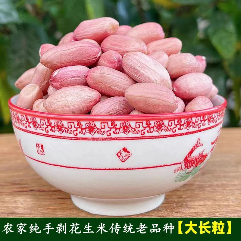 25年大颗长粒生花生米河南白沙地传统老品种饱满甘甜可口可发芽