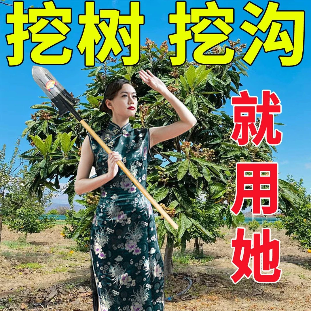 锰钢淬火加长加厚挖树锹挖山药锹全钢长尖锹挖树铲子挖沟挖土铁锨