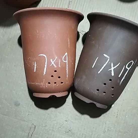 紫砂20CM（含）-50CM（不含）小红小紫金钟两个微瑕