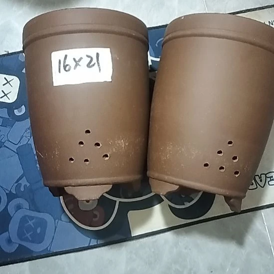 紫砂20CM（含）-50CM（不含）三线紫泥两个微瑕