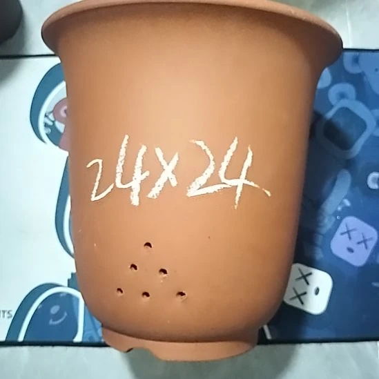 紫砂20CM（含）-50CM（不含）红泥特大金钟一个微瑕